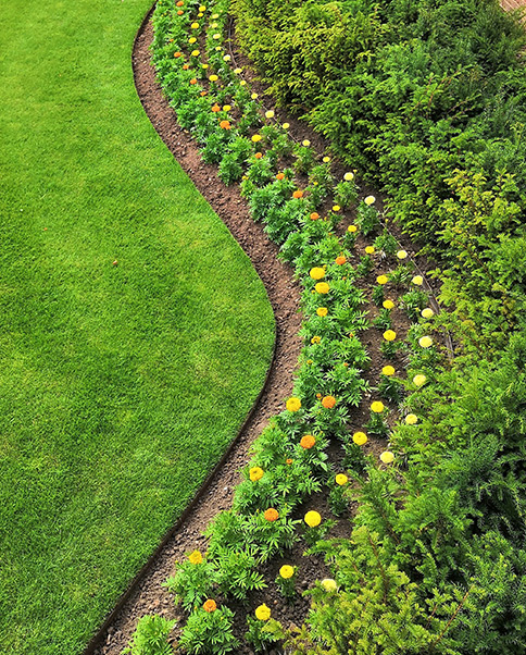 Best Landscaping Services in Rogers, AR