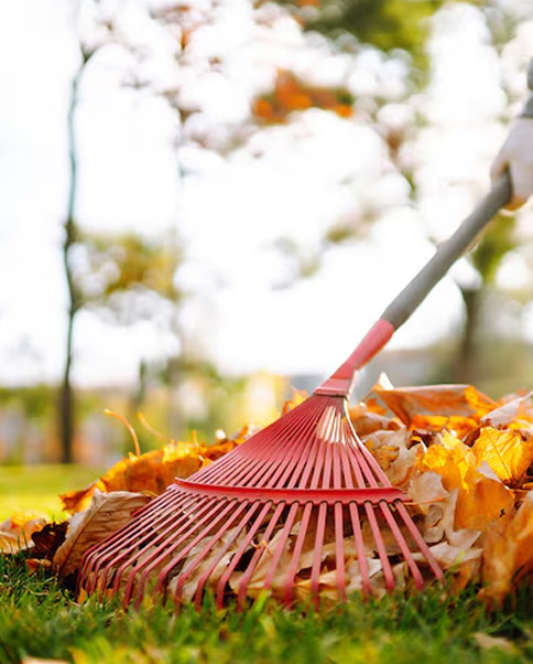 Yard Cleaning Services in Rogers, AR