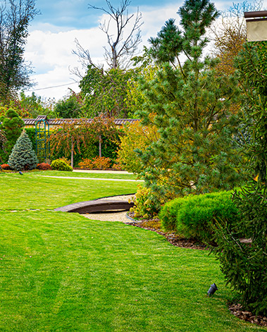 Year-Round Landscape Maintenance: Ensuring Beauty and Health