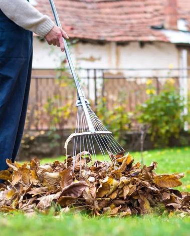 Streamlined Yard Cleanup: Simplifying Outdoor Maintenance for You